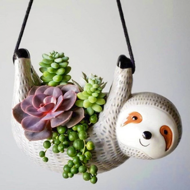 SLOTH POT